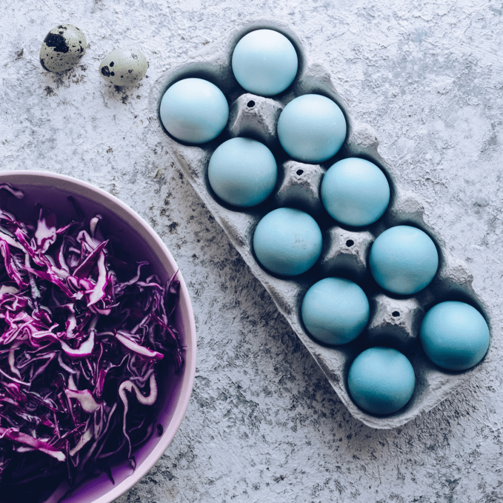 naturalne barwniki do jajek - kapusta