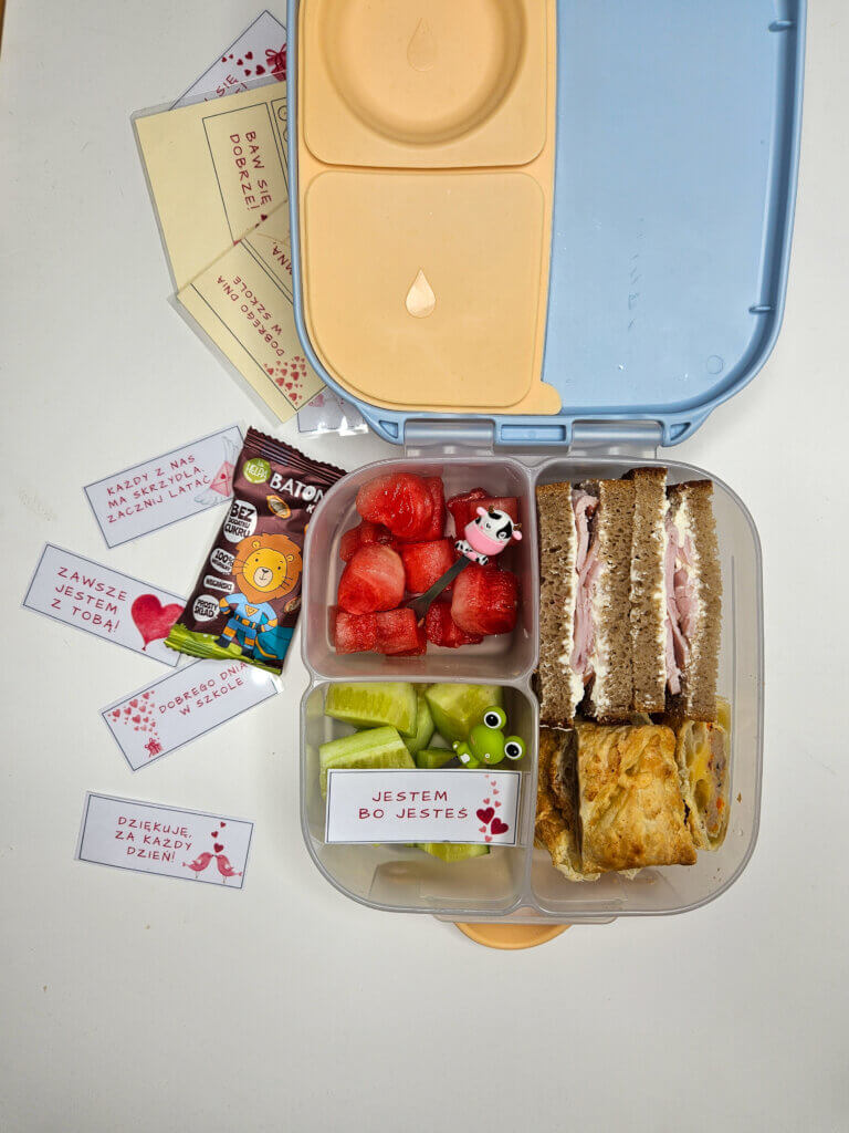 Karteczki do lunchboxa 5 karteczki do lunchboxa śniadaniówki