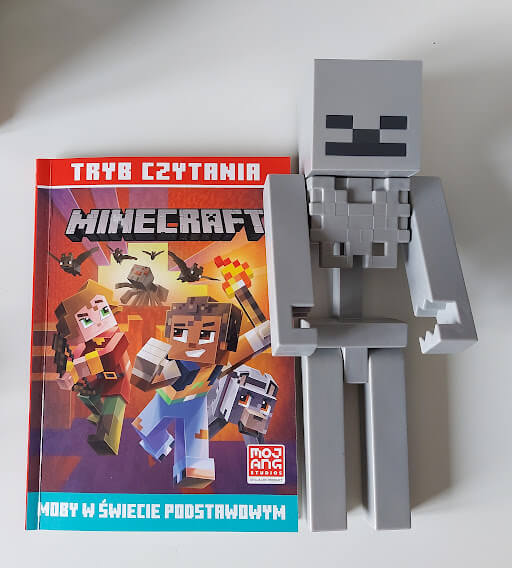 książki  tryb czytania Minecraft